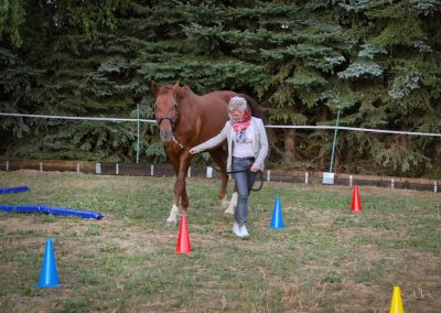 Pferdegestütztes Coaching Heinsberg, NRW